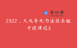 2322_大成拳无为法技击桩中级课程3