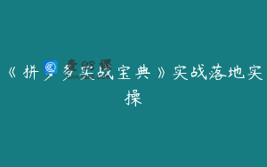 《拼多多实战宝典》实战落地实操