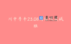 川中寻牛23.08月短线实战班