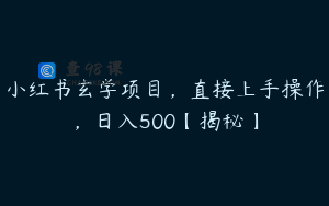 小红书玄学项目,直接上手操作,日入500【揭秘】