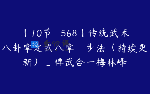 【10节-￥568】传统武术八卦掌定式八掌_步法（持续更新）_禅武合一梅林峰