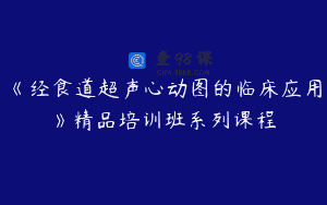 《经食道超声心动图的临床应用》精品培训班系列课程