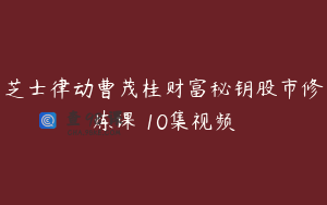芝士律动曹茂桂财富秘钥股市修炼课 10集视频