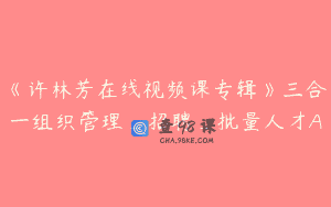 《许林芳在线视频课专辑》三合一组织管理_招聘_批量人才A