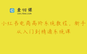 小红书电商高阶系统教程，新手从入门到精通系统课