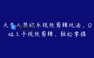 火柴人禁欲系视频剪辑玩法,0础上手视频剪辑,轻松掌握
