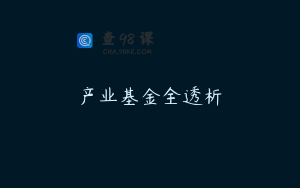 产业基金全透析