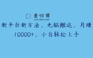 新平台新方法，无脑搬运，月赚10000+，小白轻松上手