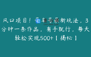 风口项目!豪车号最新玩法,3分钟一条作品,有手就行,每天轻松实现500+【揭秘】