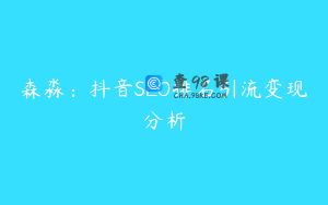 森淼：抖音SEO排名引流变现分析