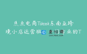 焦点电商Tiktok东南亚跨境小店运营班，一门专业的T