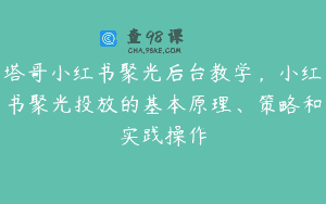 塔哥小红书聚光后台教学，小红书聚光投放的基本原理、策略和实践操作