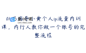 社恐编导小黄个人ip流量内训课，内行人教你做一个账号的完整流程