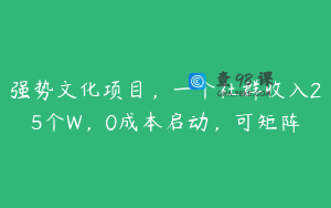 强势文化项目，一个社群收入25个W，0成本启动，可矩阵