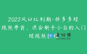 2022风口红利期-拼多多短视频带货，适合新手小白的入门短视频教程