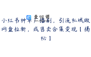 小红书种草广播剧，引流私域做网盘拉新，或售卖合集变现【揭秘】