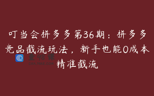 叮当会拼多多第36期：拼多多竞品截流玩法，新手也能0成本精准截流