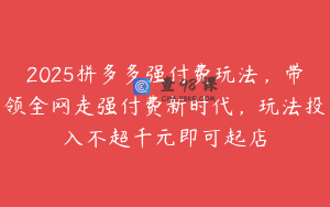 2025拼多多强付费玩法，带领全网走强付费新时代，玩法投入不超千元即可起店