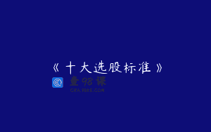 《十大选股标准》