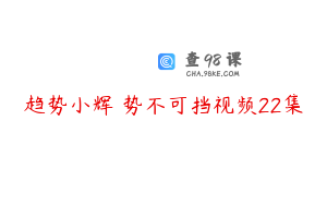 趋势小辉 势不可挡视频22集