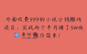 外面收费999的小说分销搬砖项目：实战两个半月赚了5W块，操作简单！