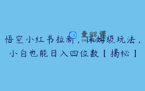 悟空小红书拉新，保姆级玩法，小白也能日入四位数【揭秘】
