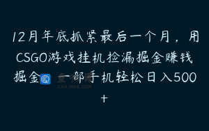12月年底抓紧最后一个月，用CSGO游戏挂机捡漏掘金赚钱掘金，一部手机轻松日入500+