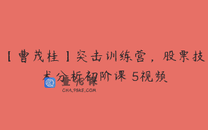 【曹茂桂】突击训练营，股票技术分析初阶课 5视频