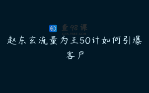 赵东玄流量为王50计如何引爆客户