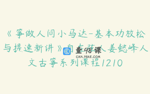 《筝做人间小马达-基本功放松与提速新讲》自在弦人姜懿峰人文古筝系列课程1210