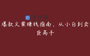 爆款文案赚钱指南，从小白到卖货高手
