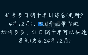 拼多多日销千单训练营(更新24年12月)，从0开始带你做好拼多多，让日销千单可以快速复制(更新24年12月)