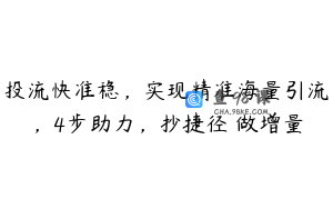 投流快准稳，实现精准海量引流，4步助力，抄捷径・做增量