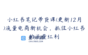 小红书笔记带货课(更新12月)流量电商新机会，抓住小红书的流量红利