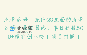 流量蓝海，抓住QQ里面的流量密码！高效策略，单日狂揽500+精准创业粉【项目拆解】
