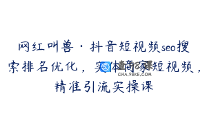 网红叫兽·抖音短视频seo搜索排名优化，实体商家短视频，精准引流实操课