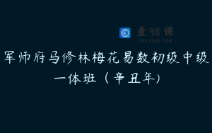军师府马修林梅花易数初级中级一体班（辛丑年)