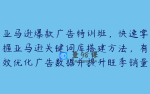 亚马逊爆款广告特训班，快速掌握亚马逊关键词库搭建方法，有效优化广告数据并提升旺季销量
