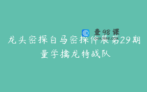 龙头密探白马密探仲展第29期 量学擒龙特战队