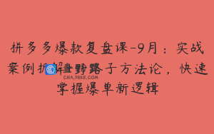 拼多多爆款复盘课-9月：实战案例拆解+野路子方法论，快速掌握爆单新逻辑