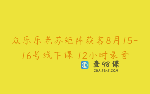 众乐乐老苏矩阵获客8月15-16号线下课 12小时录音