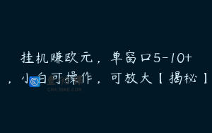 挂机赚欧元，单窗口5-10+，小白可操作，可放大【揭秘】