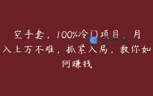 空手套，100%冷门项目，月入上万不难，抓紧入局，教你如何赚钱