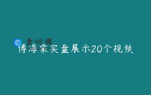 傅海棠实盘展示20个视频