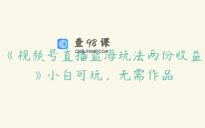 《视频号直播蓝海玩法两份收益》小白可玩，无需作品