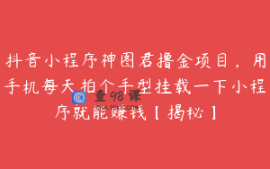抖音小程序神图君撸金项目，用手机每天拍个手型挂载一下小程序就能赚钱【揭秘】