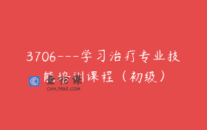 3706—学习治疗专业技能培训课程（初级）