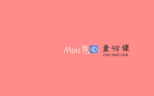 Mini包