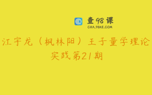 江宇龙（枫林阳）王子量学理论实践第21期