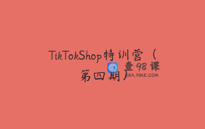 TikTokShop特训营（第四期）